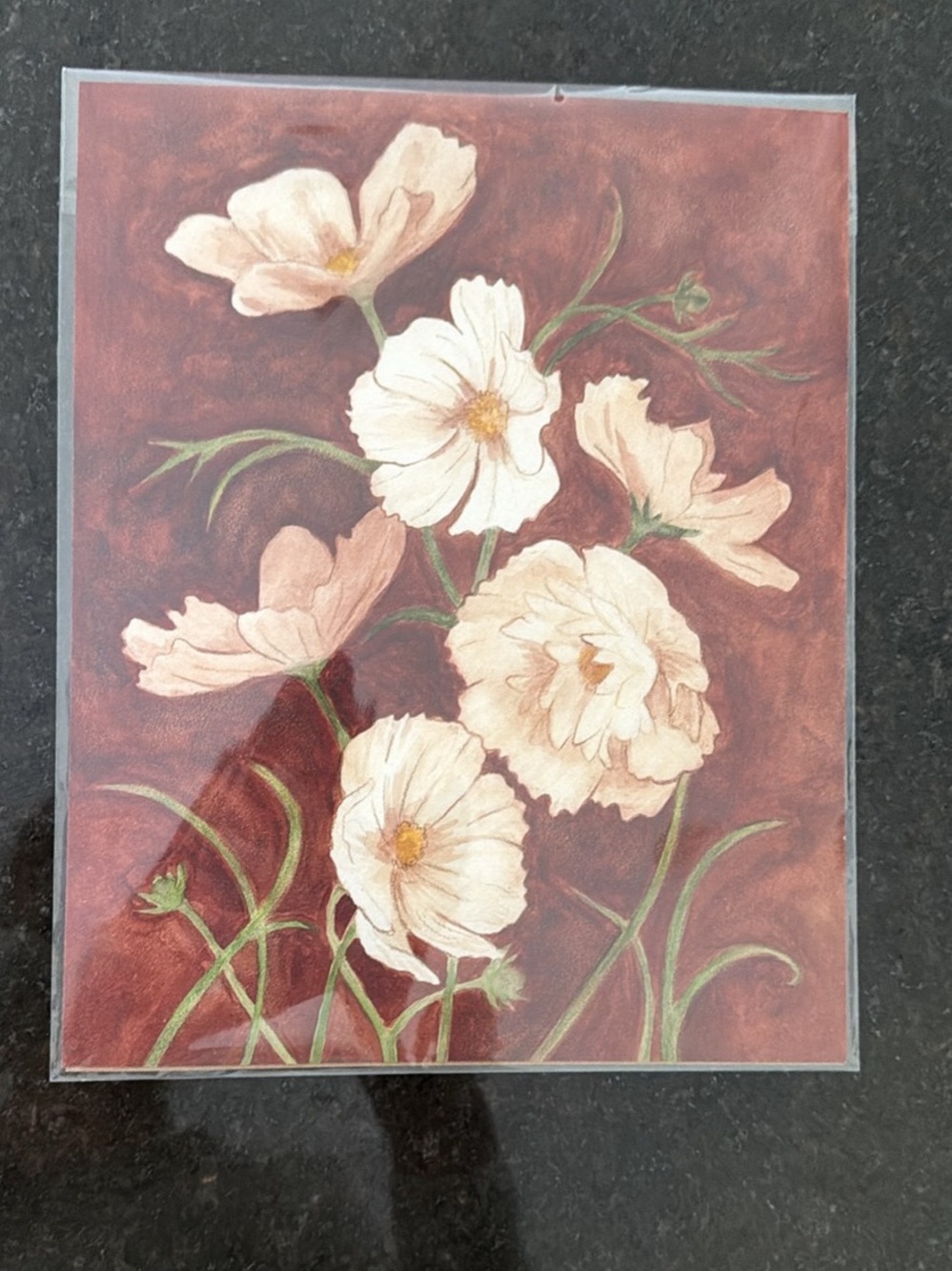 Botanical Floral Art Print - Cream Poppies on Rust Background